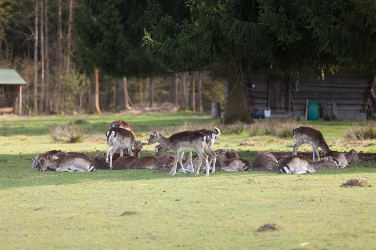 Hotel Forsthaus Woernbrunn Grünwald Zewnętrze zdjęcie